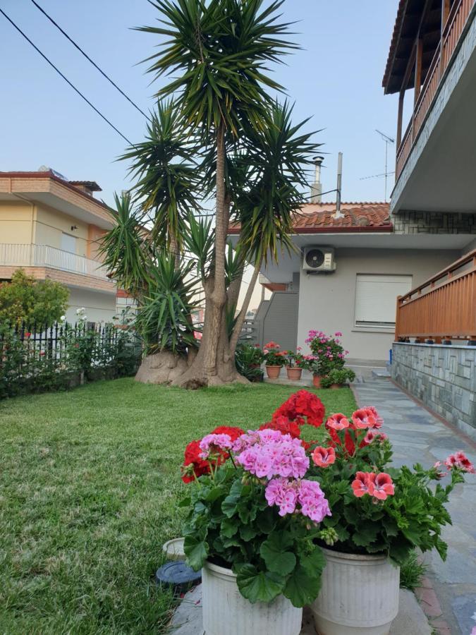Chriselia Apartment เนอาโรดา ภายนอก รูปภาพ